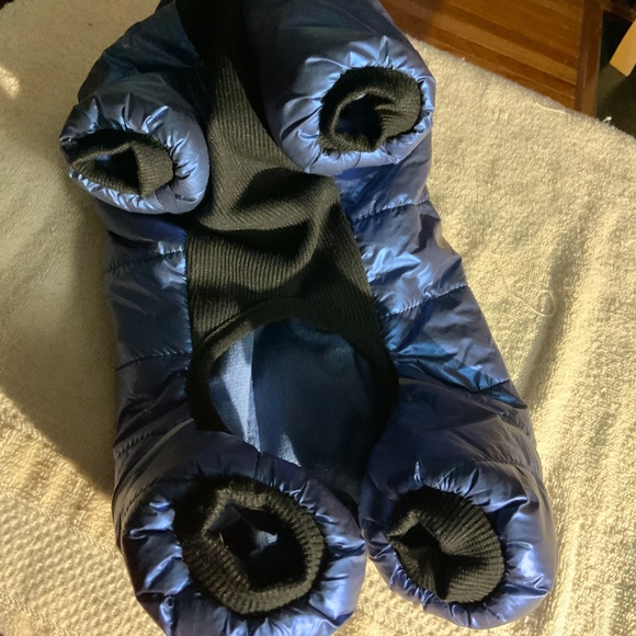 Dog Pet Puffy - Picture 2 of 9